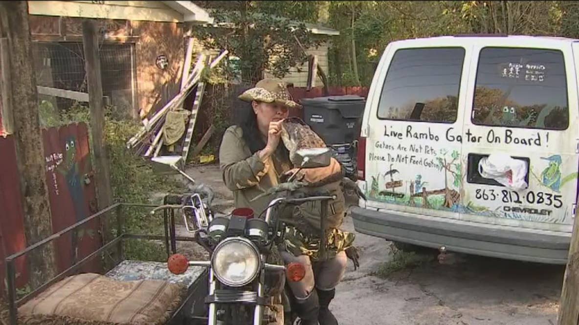 Rambo the alligator allowed to stay with owner